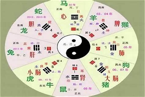 原字五行|五行汉字属性查询